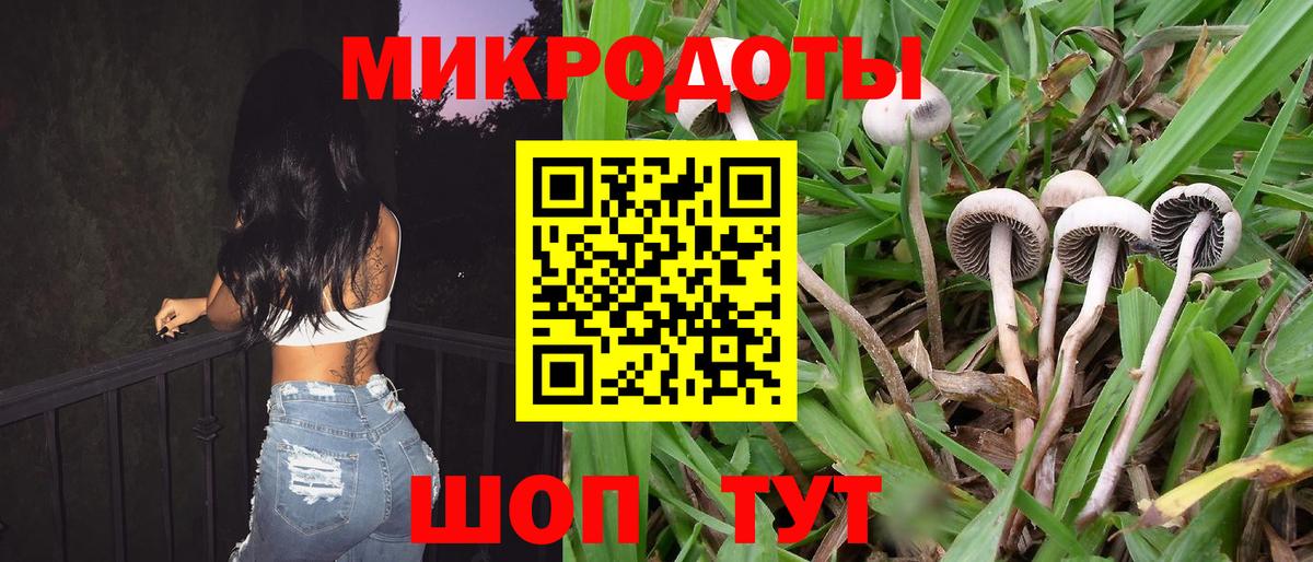 Псилоцибиновые грибы Psilocybine cubensis  Вход с VPN  Видное 