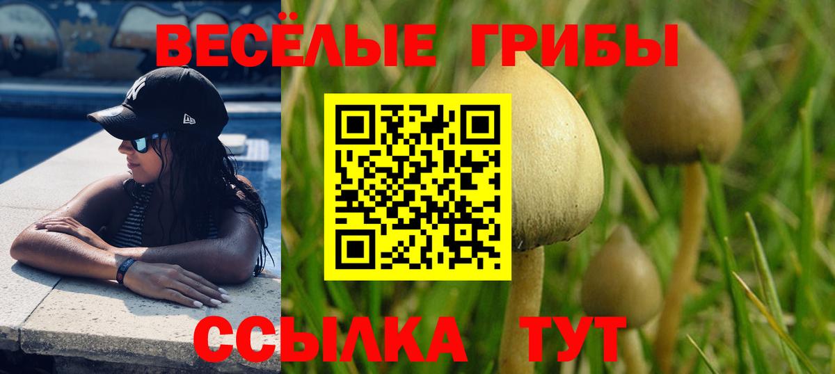 Галлюциногенные грибы Psilocybine cubensis Видное